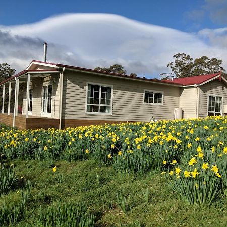Mountain Blue Guest House Deloraine Extérieur photo