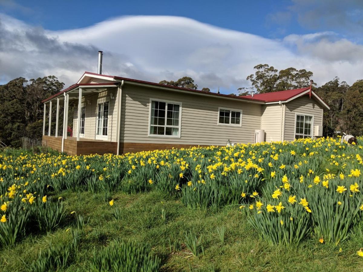 Mountain Blue Guest House Deloraine Extérieur photo